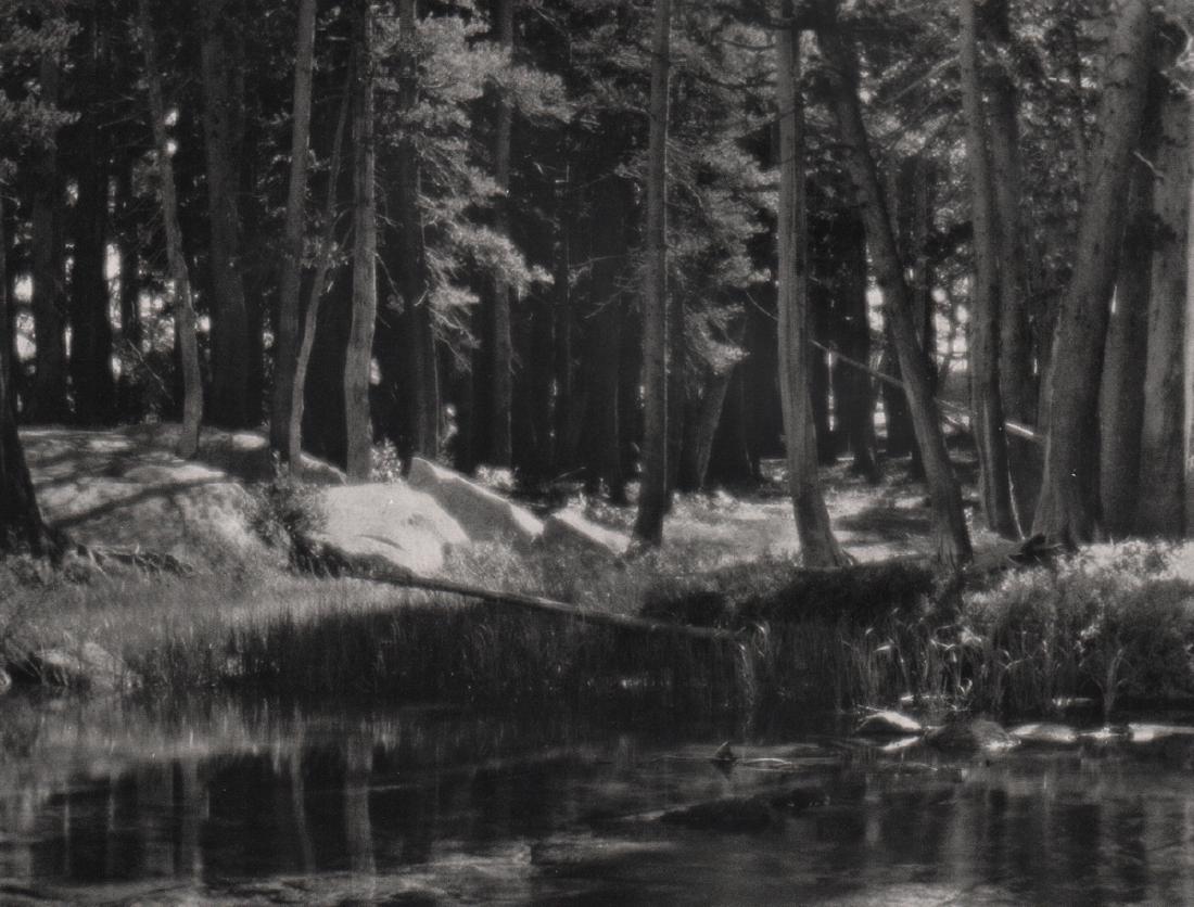 ANSEL ADAMS - Grove, Merced River: Artist: ANSEL ADAMS Print Title: Grove, Lyell Fork of the Merced River, 1921 Medium: Sheet-fed Gravure Printing Date: 1963 Printed in USA Image Size: 8.5 x 6.75 inches Ansel Adams (February 20, 1902 �