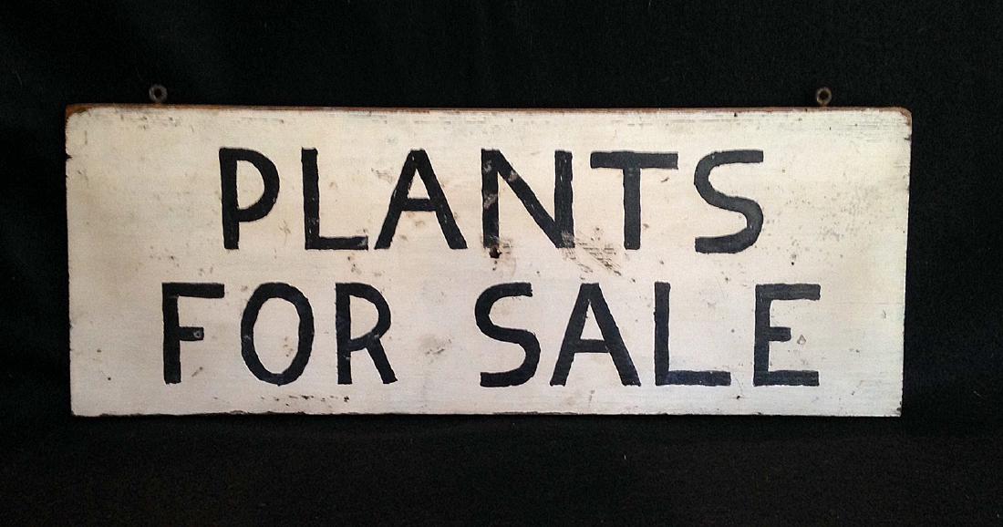 Double Sided Plants Sign 1940s (1 of 3)