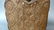 Perfect authentic and detailed body armor war costume - 4