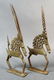 The antelope-masks danced by couple - 2