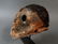 Modeled skull, Middle Sepik, Papua New Guinea, Saw - 8