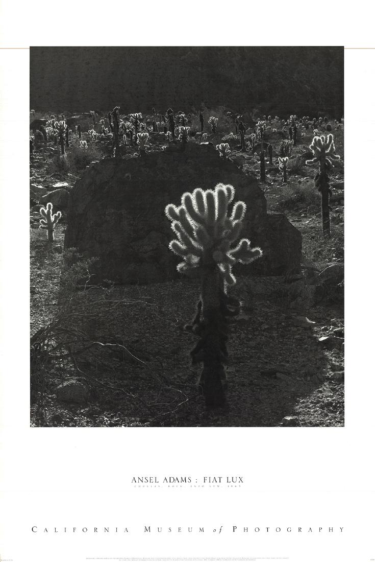 Ansel Adams Offset Lithograph Chollas Rock Into Sun (1 of 1)
