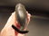 Cast Iron Folk Art Whale Beer Soda Bottle Cap Opener - 10