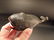 Cast Iron Folk Art Whale Beer Soda Bottle Cap Opener - 5