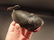 Cast Iron Folk Art Whale Beer Soda Bottle Cap Opener - 6