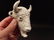 Cast Iron Folk Art Beer Soda Bottle White Buffalo