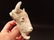 Cast Iron Folk Art Beer Soda Bottle White Buffalo - 5