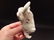 Cast Iron Folk Art Beer Soda Bottle White Buffalo - 9