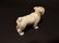 Primitive Miniature Cast Iron White Bull Dog - 5