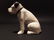 Primitive Miniature Cast Iron Nipper Dog Coin Bank