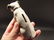 Primitive Miniature Cast Iron Nipper Dog Coin Bank - 3