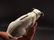Primitive Miniature Cast Iron Nipper Dog Coin Bank - 6