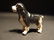 Primitive Miniature Cast Iron Dog Springer Spaniel - 10
