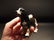 Primitive Miniature Cast Iron Dog Springer Spaniel - 5