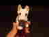 item-59303143=5