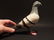 Primitive Cast Iron Folk Art Pigeon