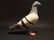 Primitive Cast Iron Folk Art Pigeon - 2