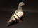 Primitive Cast Iron Folk Art Pigeon - 7