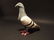 Primitive Cast Iron Folk Art Pigeon - 8