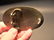 Civil War Belt Buckle Plate Texas Star SOLID Brass - 4