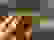 item-59303207=4