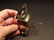 Beer Bottle Cap Opener Solid Brass w Anchor - 3
