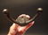 Cast Iron Double Coat Hook - 10
