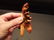 Cast Iron HEAVY Moose Head Wall Mount Beer Bottle - 8