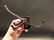 Cast Iron Wall Hook Swivel Folding Coat Hanger Hardware