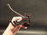Cast Iron Wall Hook Swivel Folding Coat Hanger Hardware - 6