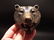 Cast Iron Wall Mount Figural Bear Beer Bottle Opener
