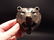 Cast Iron Wall Mount Figural Bear Beer Bottle Opener - 4