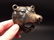 Cast Iron Wall Mount Figural Bear Beer Bottle Opener - 6