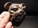 Cast Iron wall mount folk art Bulldog Beer Bottle - 2
