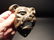 Cast Iron wall mount folk art Bulldog Beer Bottle - 8
