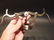 Empire Double Lever Corkscrew Wine Bottle Opener - 2