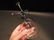 Glass Water Mister Atomizer Plant Pump Perfume Sprayer - 3