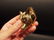 Small Solid Brass Fox Door Knocker Hardware - 8