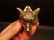 Small Solid Brass Fox Door Knocker Hardware - 9