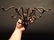 Wall Hook Swivel Folding Coat Hanger Hardware Rust - 10
