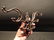 Wall Hook Swivel Folding Coat Hanger Hardware Rust - 4