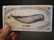 Nice Folk Art Whale Scrimshaw Bone & Wood Trinket Box - 2