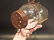 SmallClear Glass Minnow Bottle Trap Signed - 5