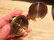 2" Brass Heavy Maritime Navigational Compass - 5