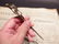 Brass Fox letter opener Hunting Desk Collectible - 6