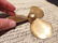 Brass Nautical Boat Propeller Paperweight Desk Figure