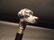 Dog Head Handle Metal Walking Stick Cane - 5