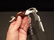 Bar Keepers Lady Leg Beer Bottle Cap Folding Corkscrew - 8