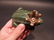 Cast Iron Folk Art Beer Soda Bottle Cap Frog Opener - 4