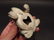 Cast Iron Folk Art Beer Soda Bottle Cap Frog Opener - 8